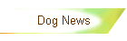Dog News