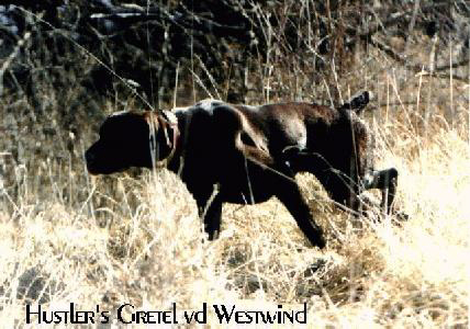 gretel2.jpg (104204 bytes)