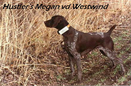 megan.jpg (138897 bytes)