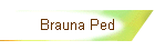Brauna Ped