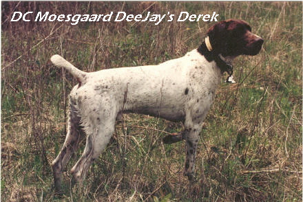 derek.jpg (159723 bytes)