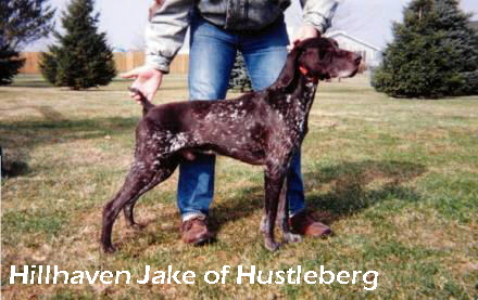 jake1.jpg (107358 bytes)